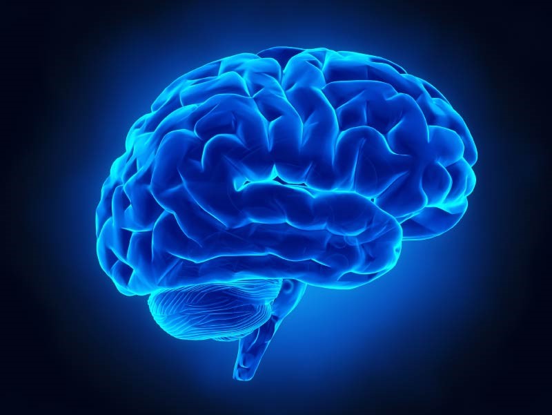 تمایز علائم سکته مغزی بر اساس محل و وسعت آسیب